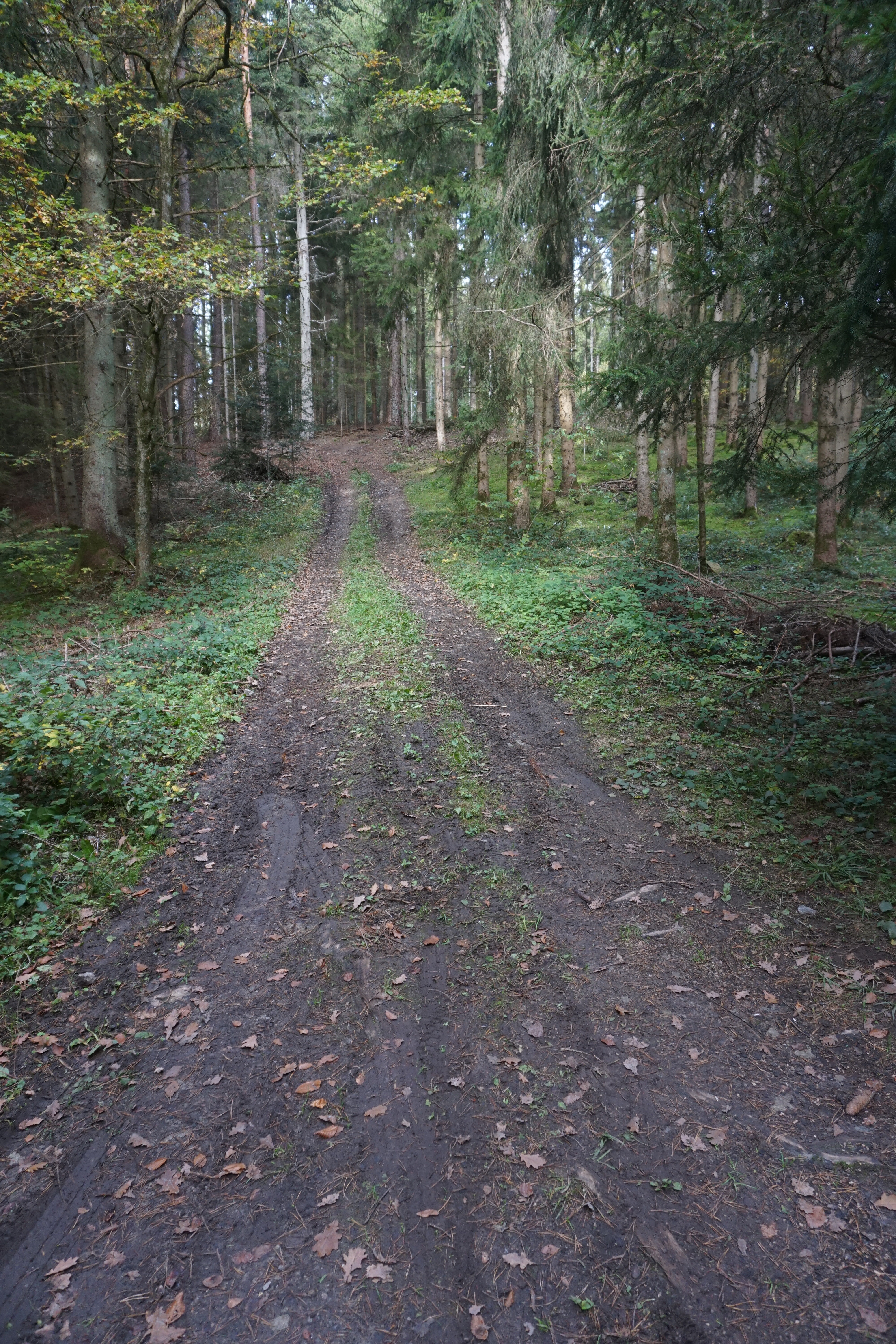 Droga do cmentarza w Gantenwald