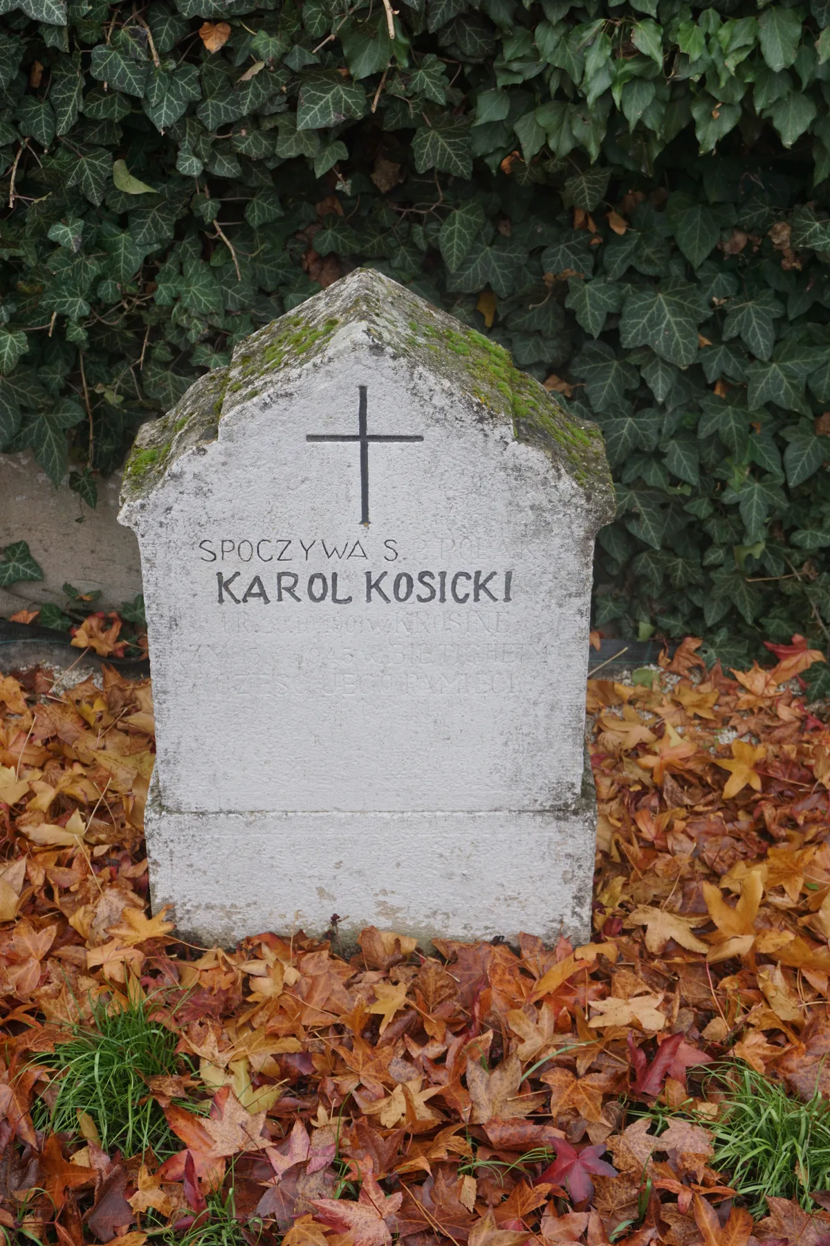Kosicki