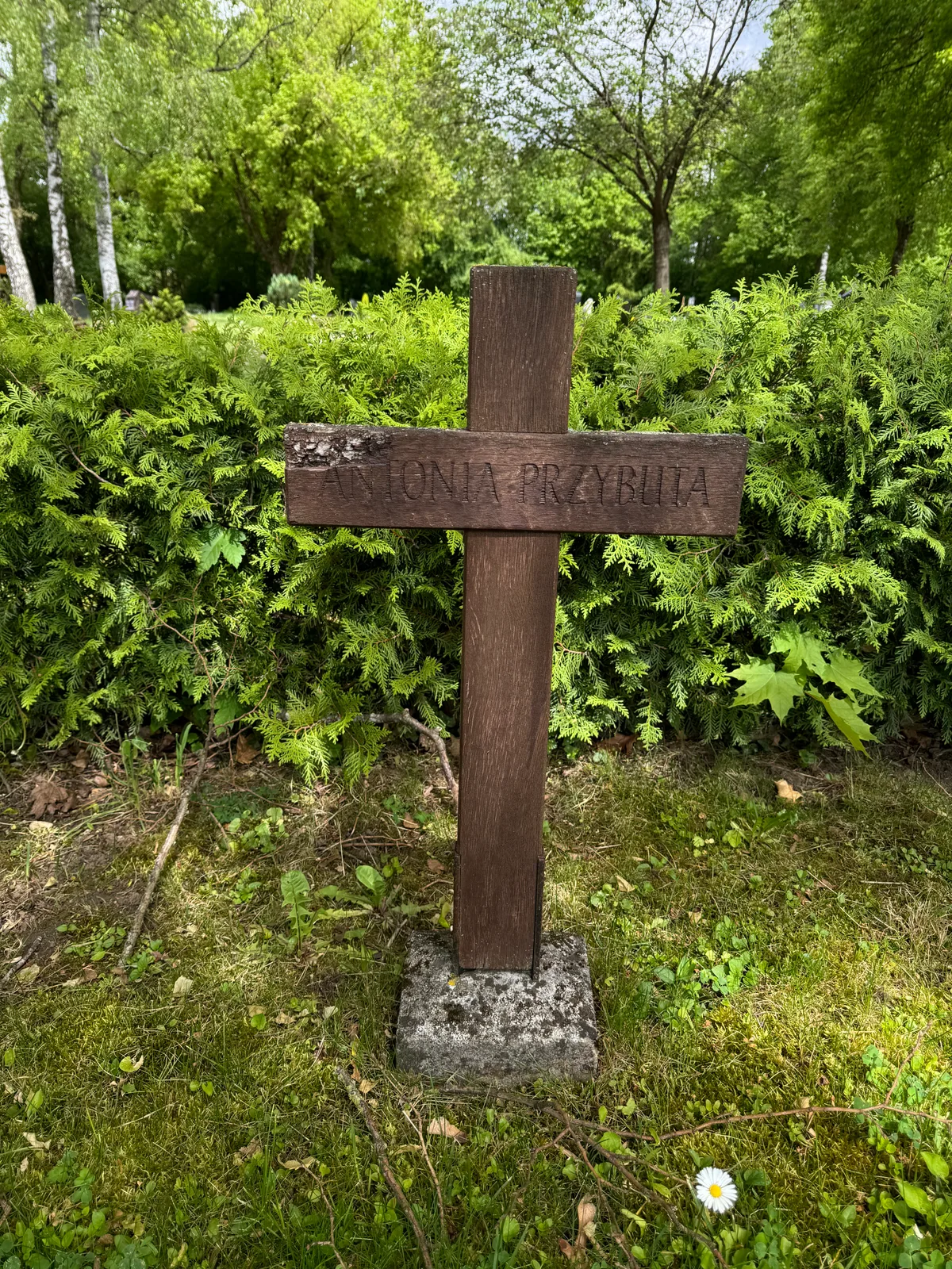 Wasseralfingen: drewniany krzyż „ANTONIA PRZYBUTA” (bez dat).
Napis: „ANTONIA PRZYBUTA”