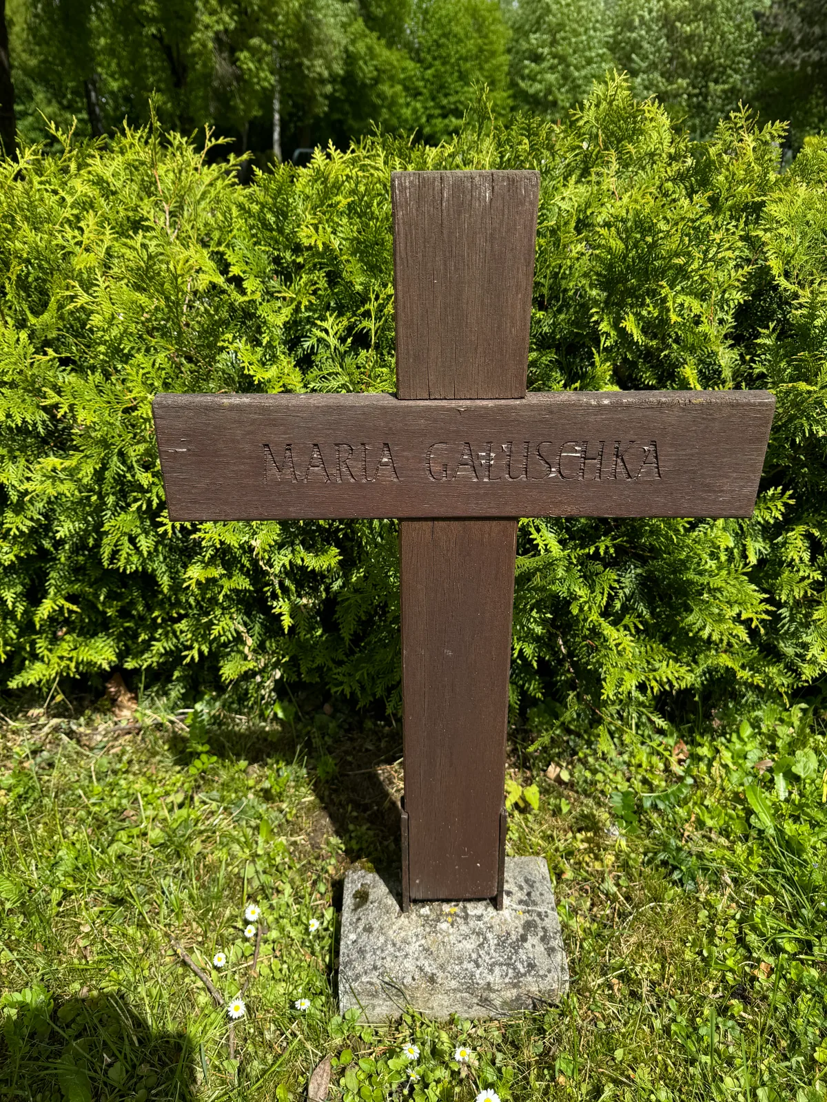 Grób: Klära Maria, geb. Haluschka (1881–1946) — Aalen, Ostalbkreis