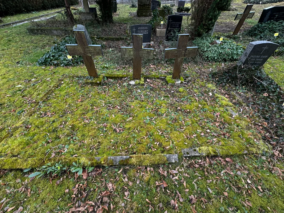 Nikolaifriedhof: trzy drewniane krzyże na wspólnej kwaterze (m.in. J. Śliwa i B. Witun).
