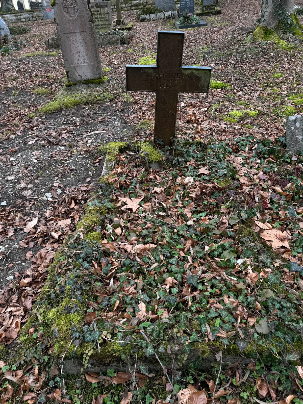 Nikolaifriedhof: grób Ludwiga Trybka.