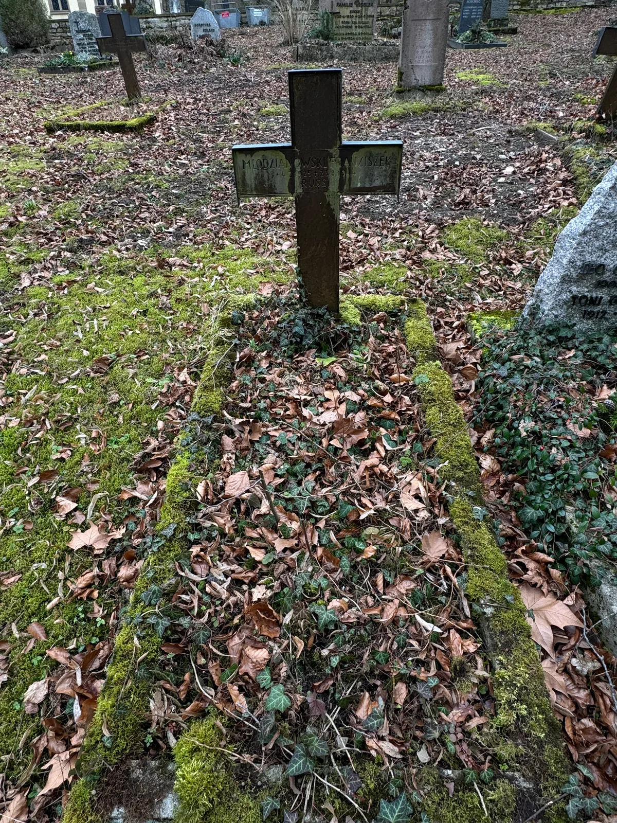 Nikolaifriedhof: grób Franciszka Młodzianowskiego.