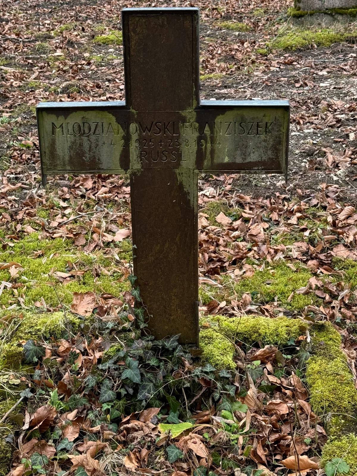 Nikolaifriedhof: krzyż F. Młodzianowskiego.
Napis: „MLODZIANOWSKI FRANZISZEK / * 4.2.1925 † 23.8.1944 / RUSSL.”